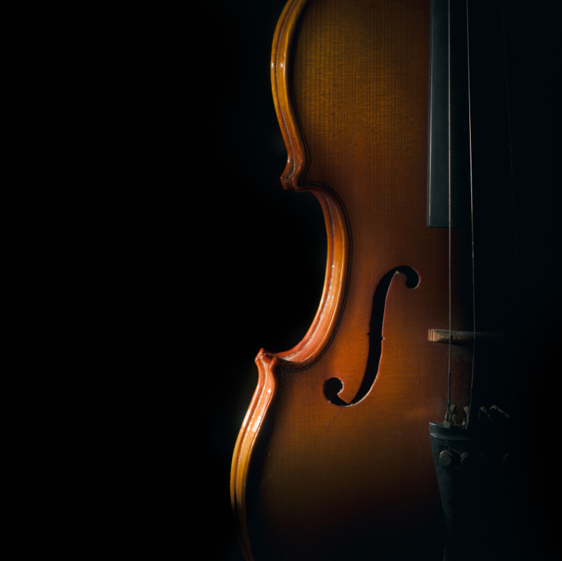 Product restoration renovation treatment violin making